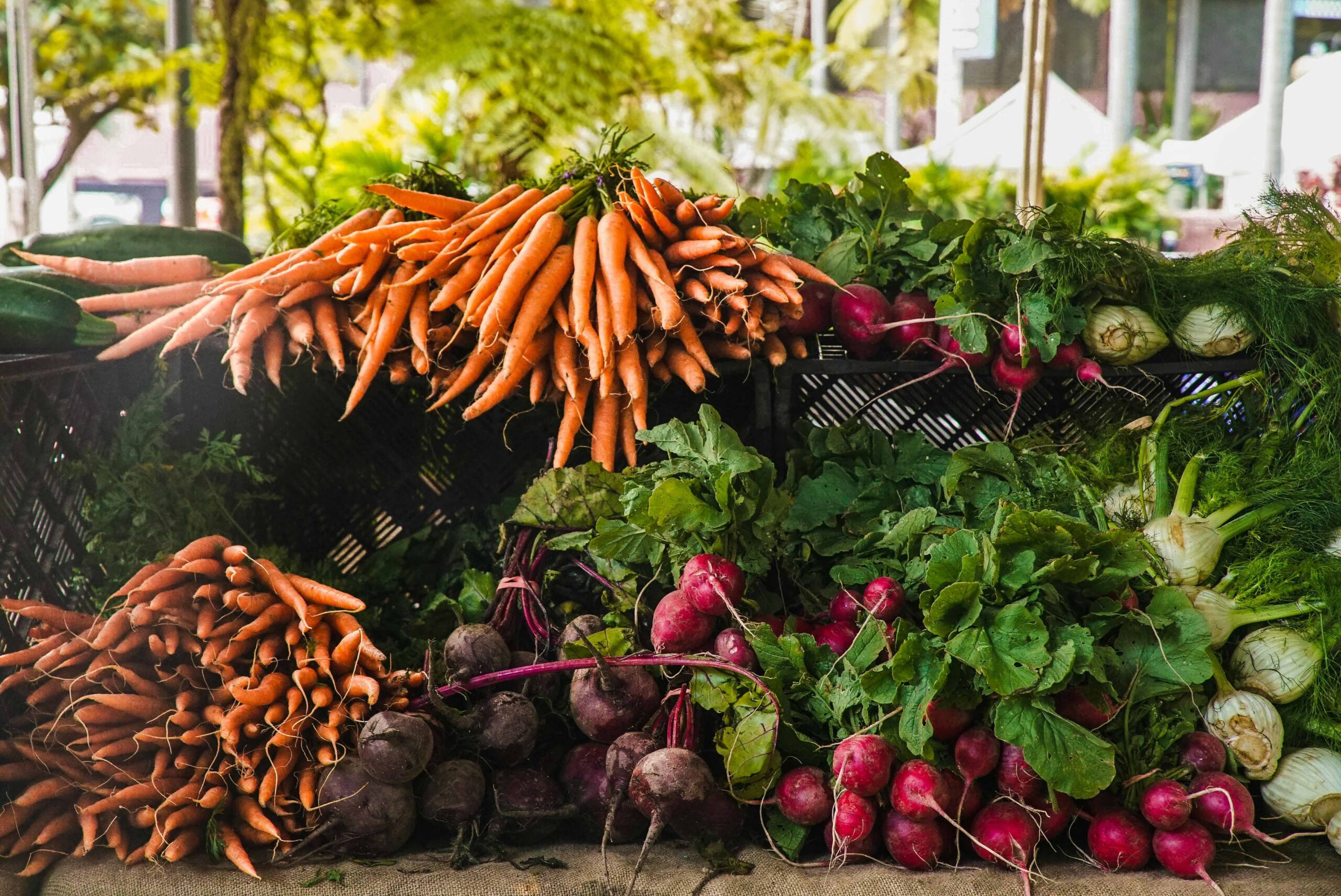 Leguminosas: Uma Fonte Versátil de Nutrientes